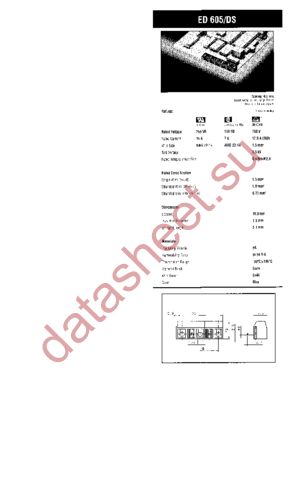 ED605/2DS datasheet  